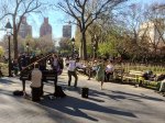 Welcoming Spring in Washington Square Park